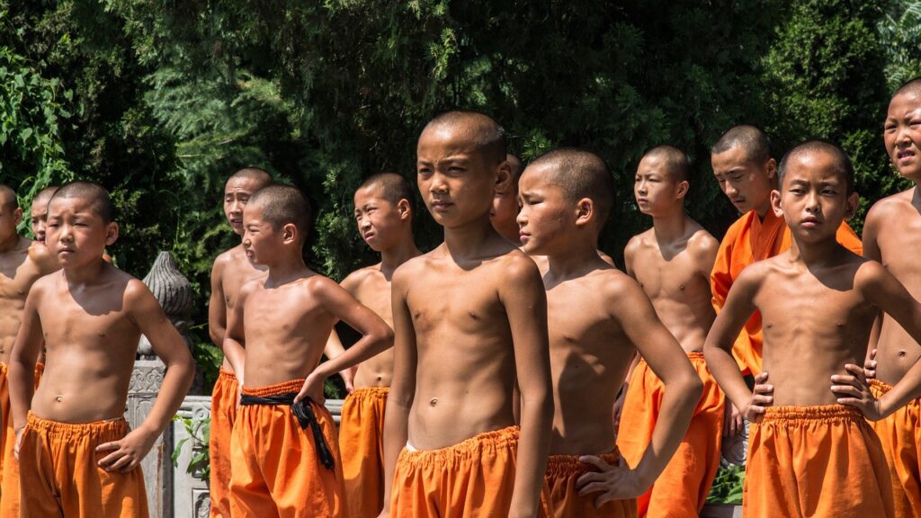 shaolin, monastery, henan-873585.jpg