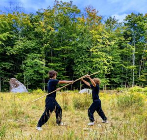 Pratique bâton kung fu